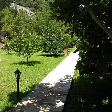 Azra Villas Cirali Room photo