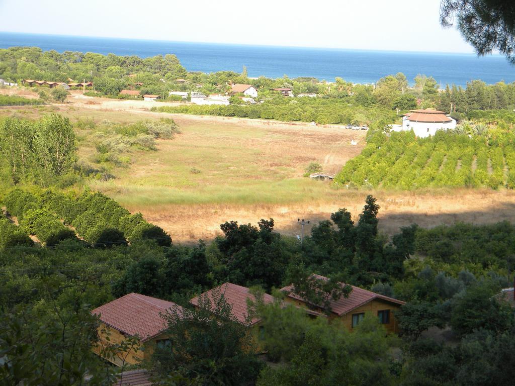 Azra Villas Cirali Room photo
