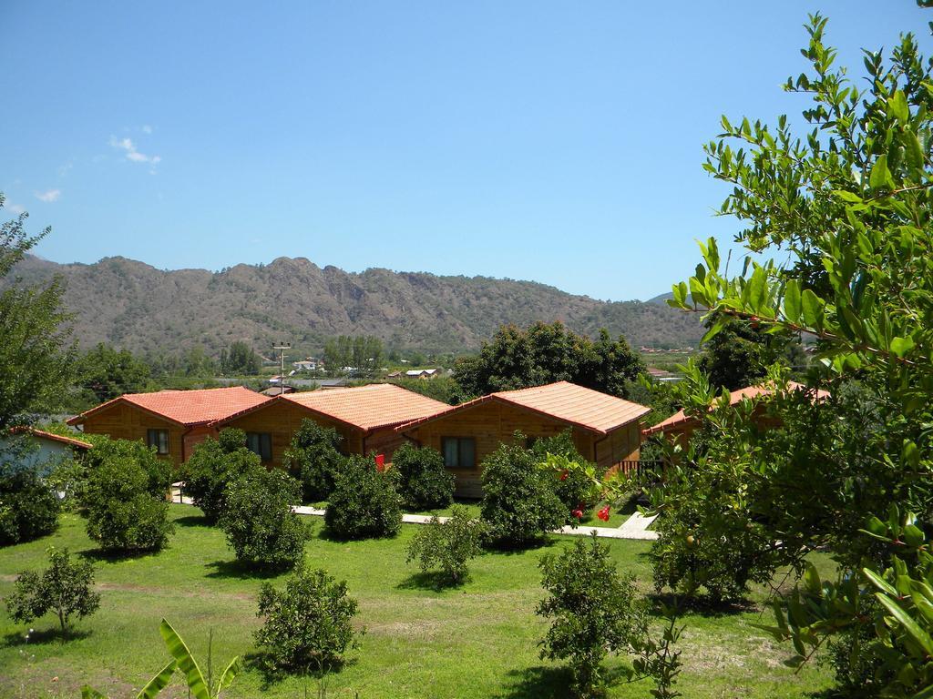 Azra Villas Cirali Room photo