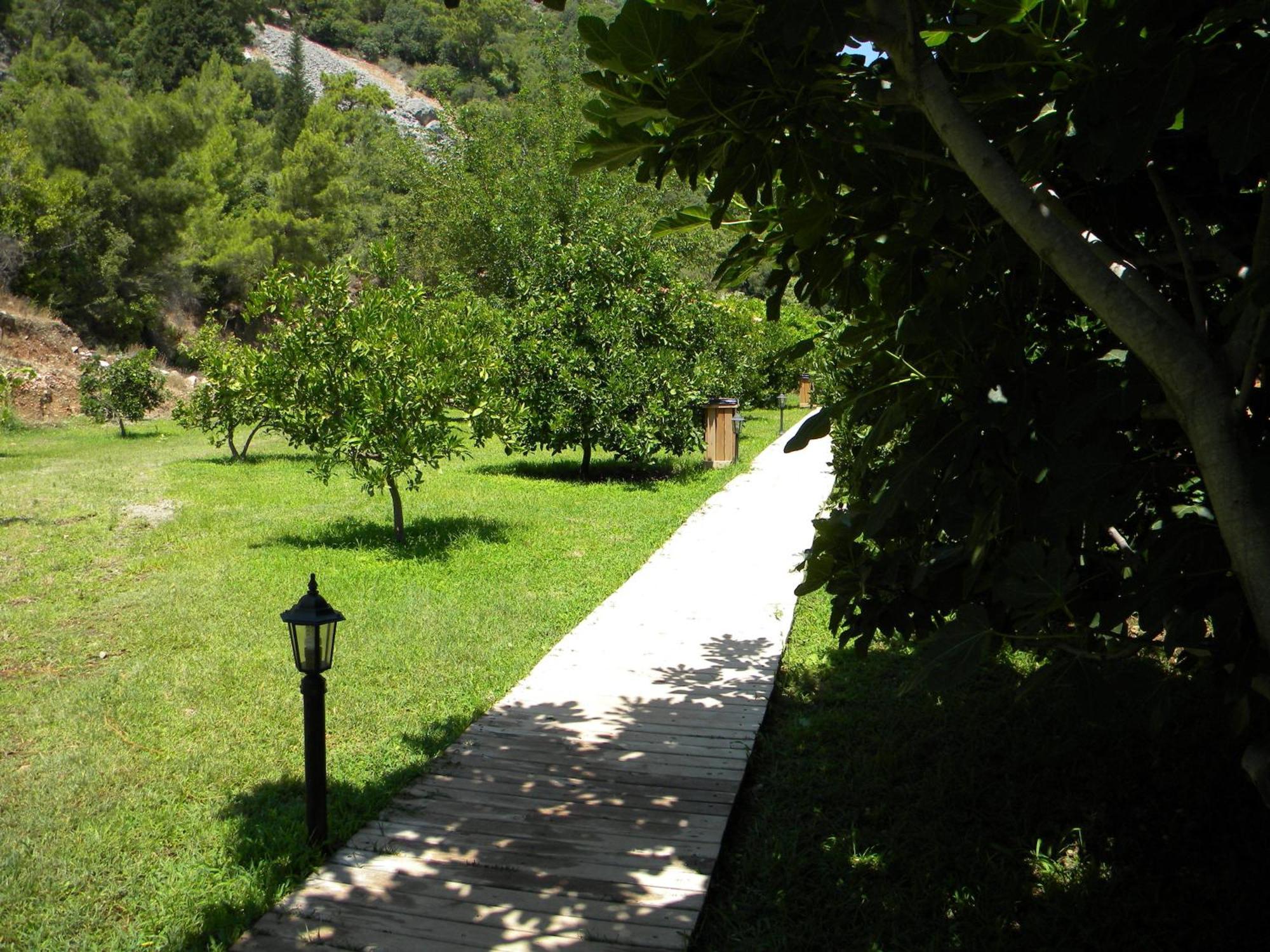 Azra Villas Cirali Room photo