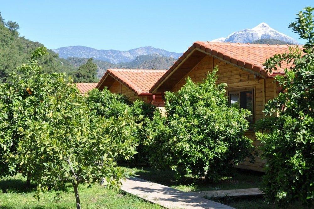 Azra Villas Cirali Exterior photo